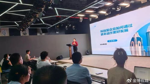 科技型企業(yè)如何通過資本運(yùn)作實(shí)現(xiàn)高質(zhì)量發(fā)展——以網(wǎng)絡(luò)科技技術(shù)開發(fā)與運(yùn)營(yíng)為例