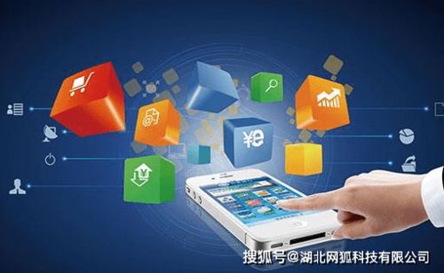 湖北網狐科技 電商App開發如雨后春筍，細分行業如何搶占商機